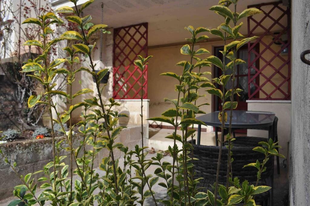 Spacieux- Le Clos Lingon Mâcon エクステリア 写真